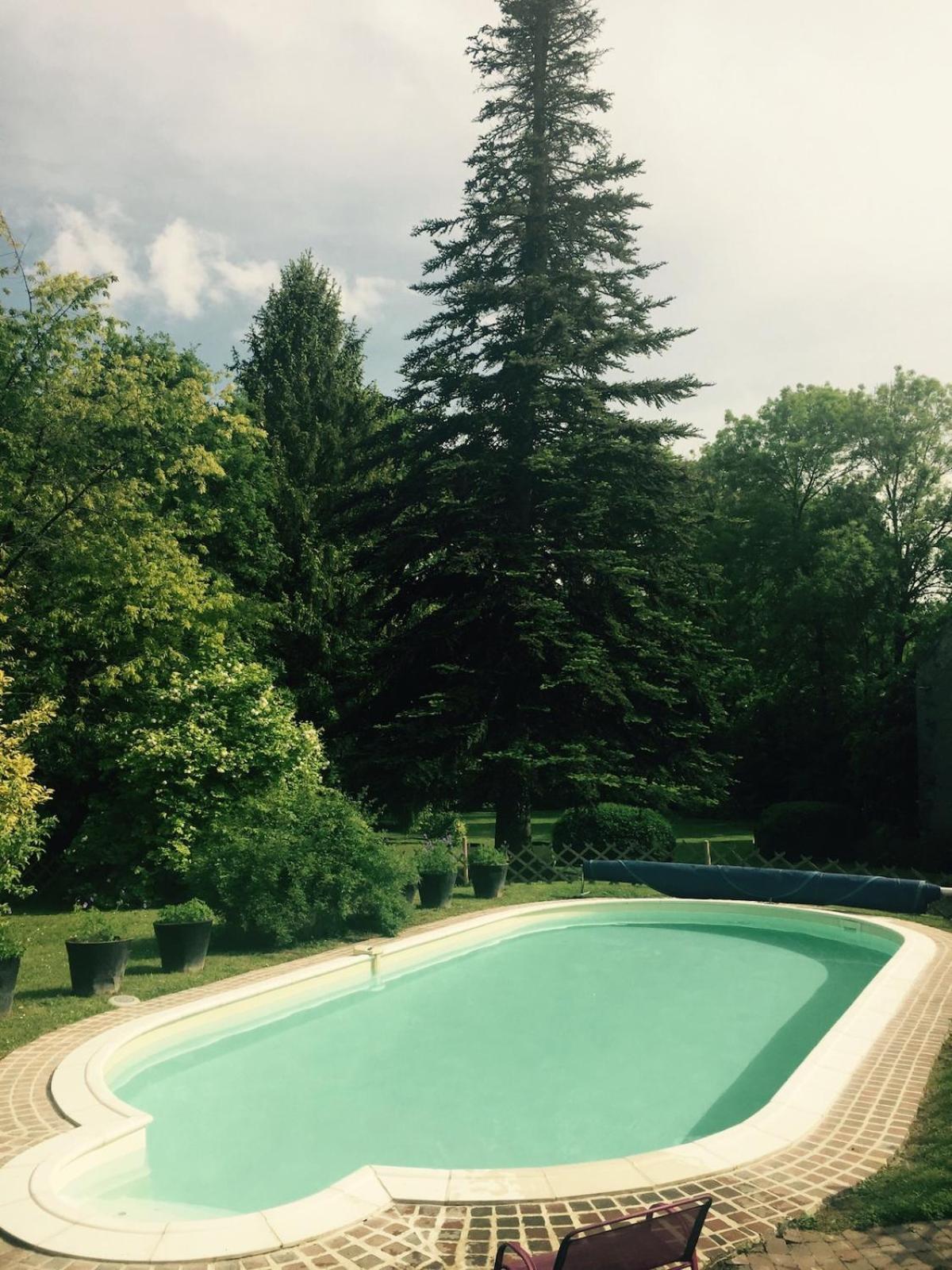 Maison Region Fontainebleau Pool Sauna River Aulnay-la-Riviere Екстериор снимка