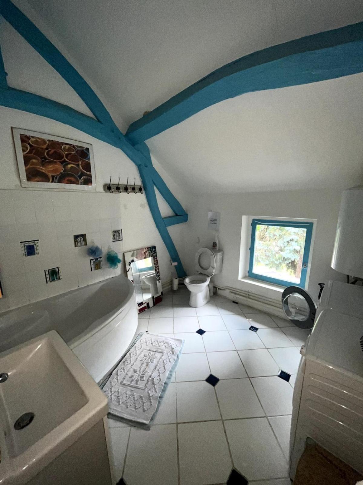 Maison Region Fontainebleau Pool Sauna River Aulnay-la-Riviere Екстериор снимка
